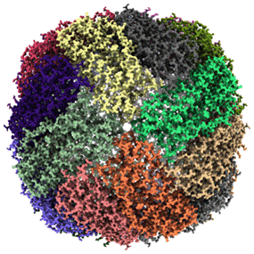 1.29Å structure of mouse apo-ferritin obtained by Fujita et al. on the CRYO ARM 300 at Spring8 (Japan)