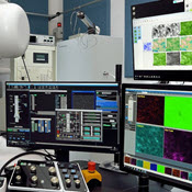 Image Alt Text