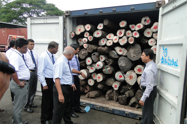 Rosewood logs from Madagascar seized by authorities in Sri Lanka (image courtesy of mongabay.com)