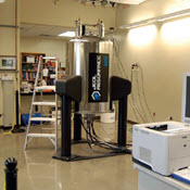 Image Alt Text